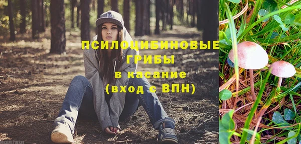Альфа ПВП Кодинск