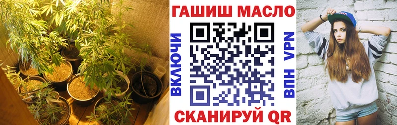ТГК Wax  Ладушкин 