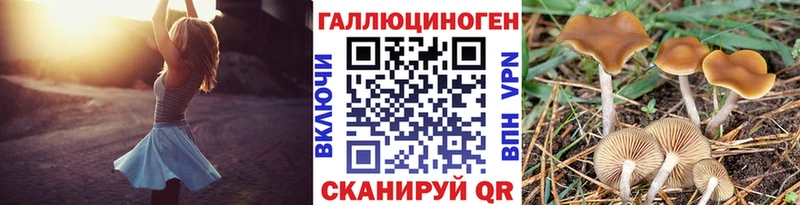 Псилоцибиновые грибы MAGIC MUSHROOMS  как найти наркотики  Ладушкин 